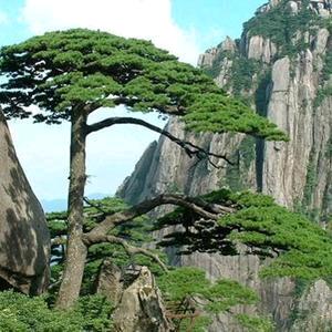惬意人生