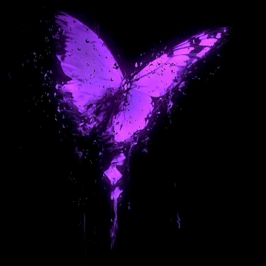 可以执念，但是不要执迷不悟