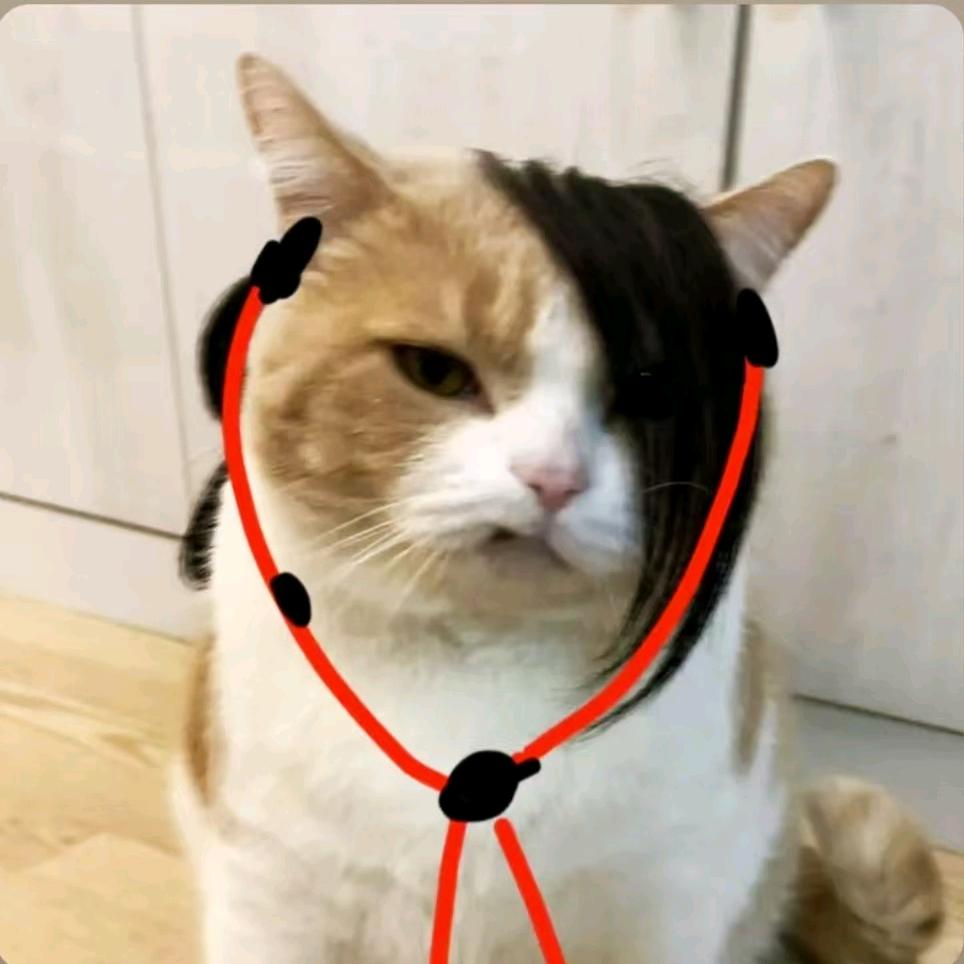 发不出爱喝可乐