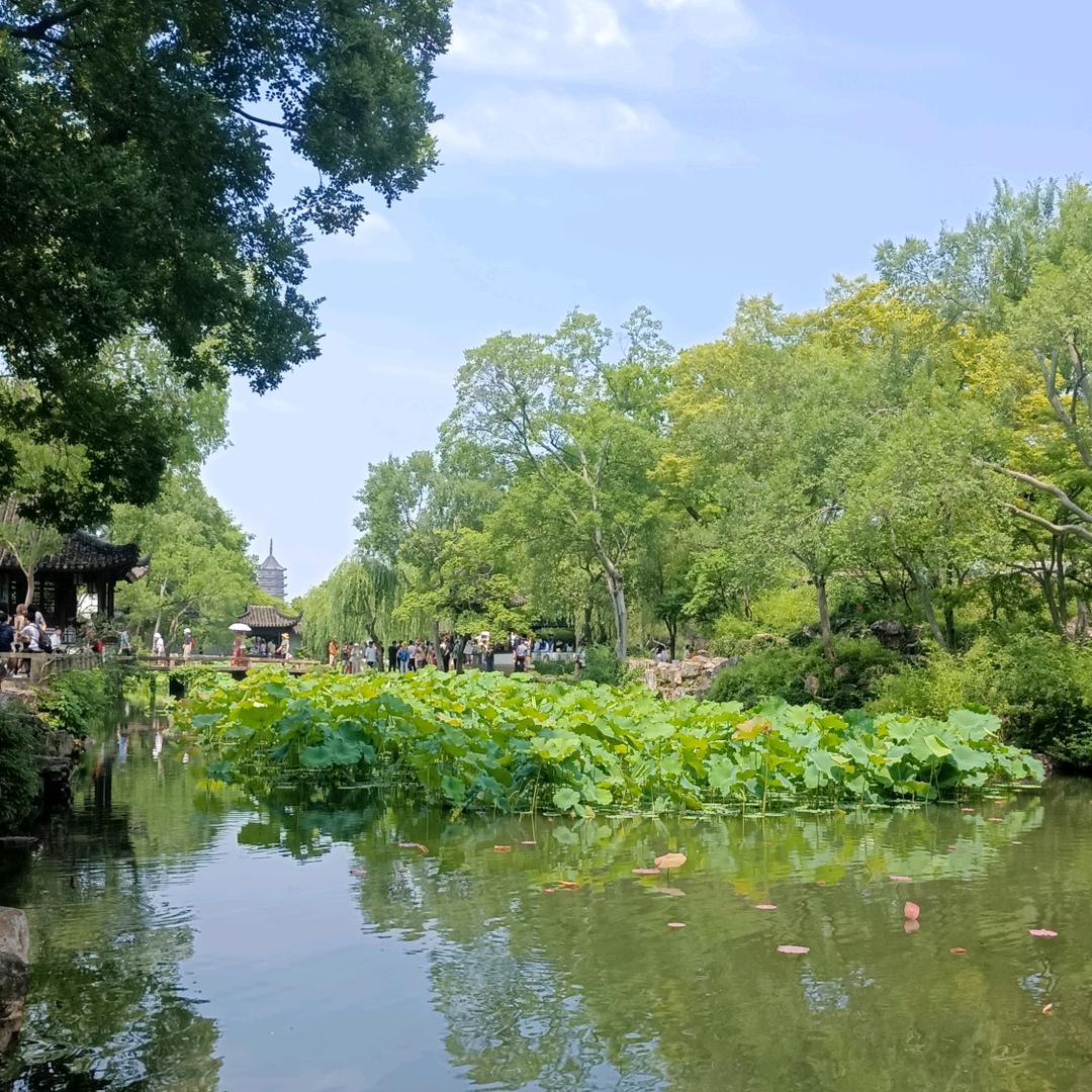 ꦿ陌᭄