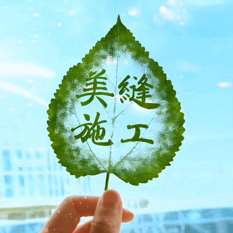 小哇塞美缝服务中心