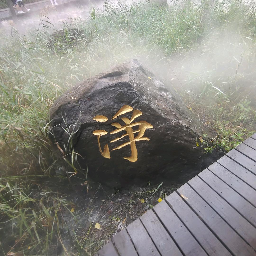 西红柿炒鸡蛋