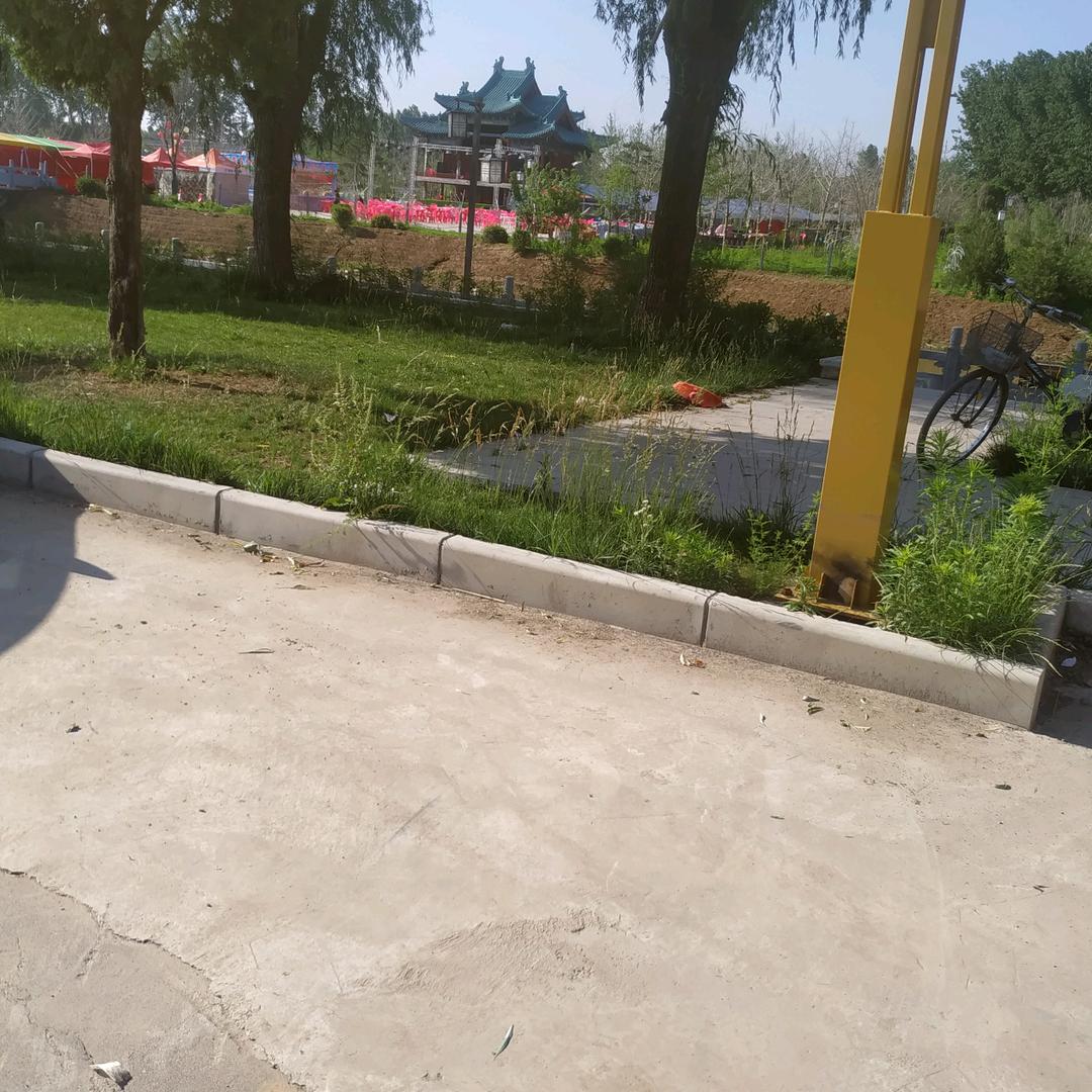 小芳助理