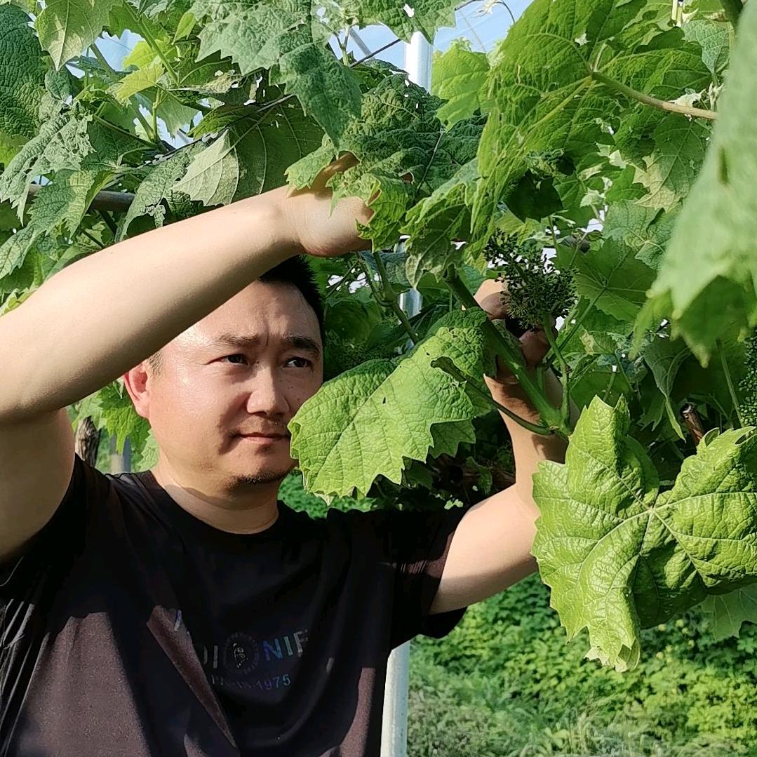 杰哥优选农业