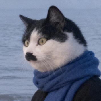(#ﾟДﾟ)咕咕