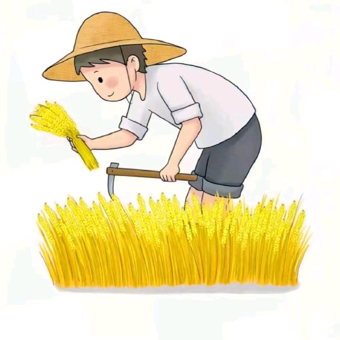 瑞丰养艺