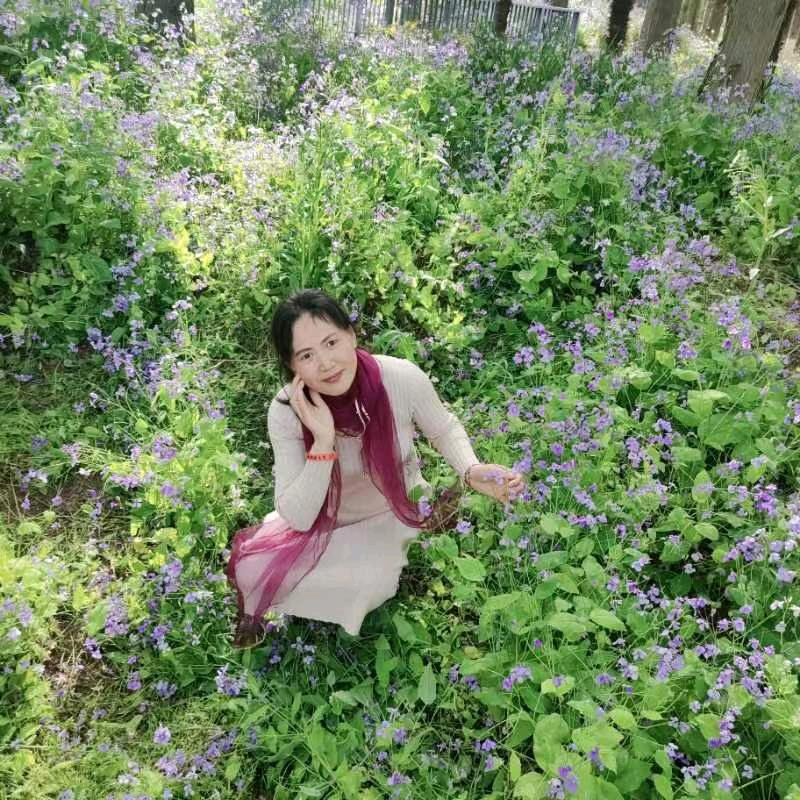 茶书相伴