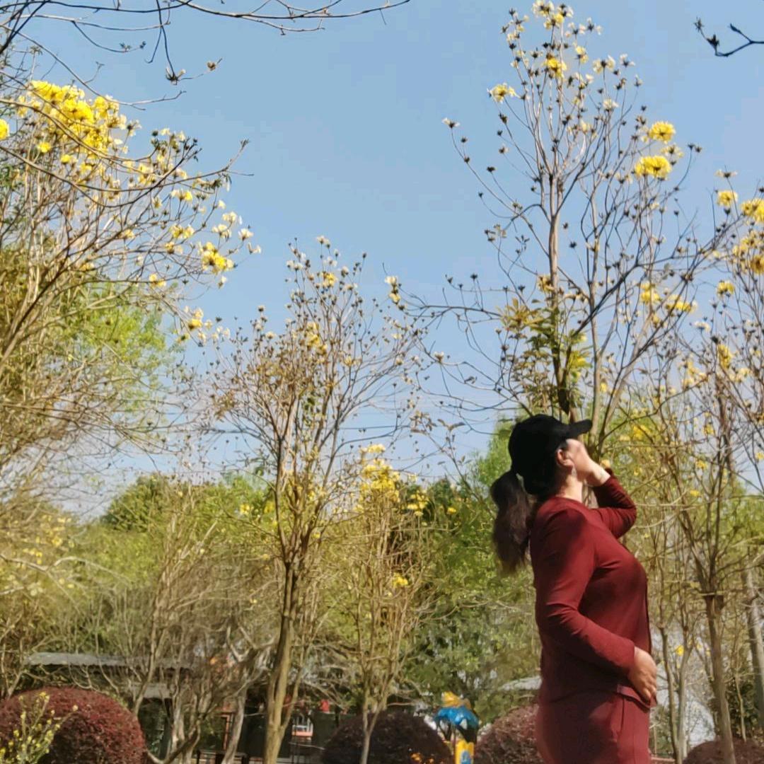 金玉（翻唱经典情歌）
