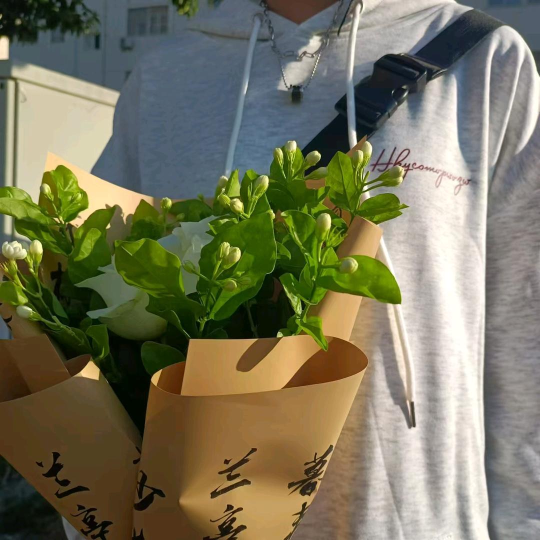 破防的狗不理