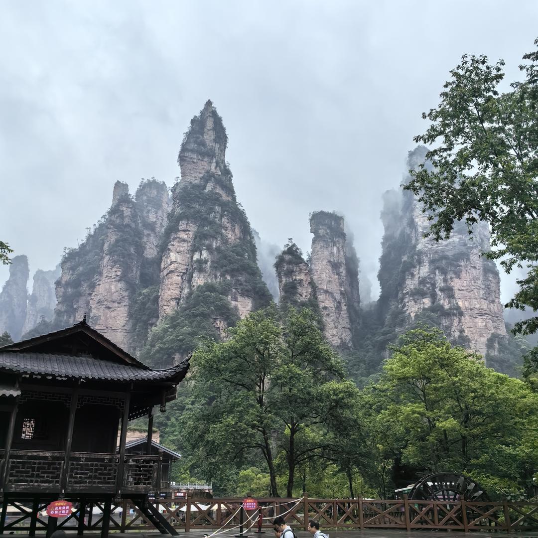 {一蓑烟雨↗
