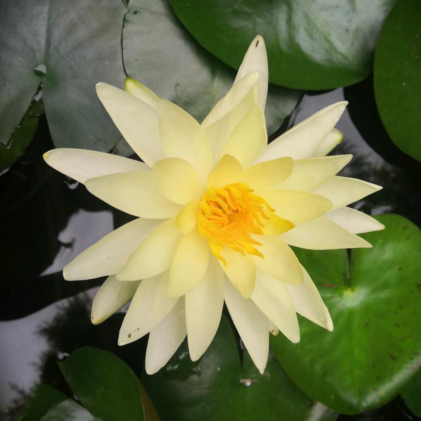 岁月静好