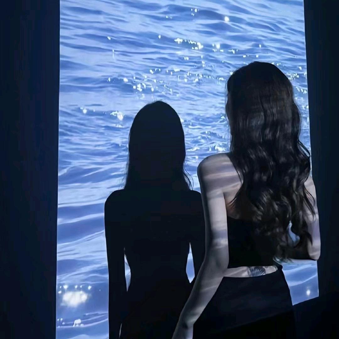 给我三分之一阳光