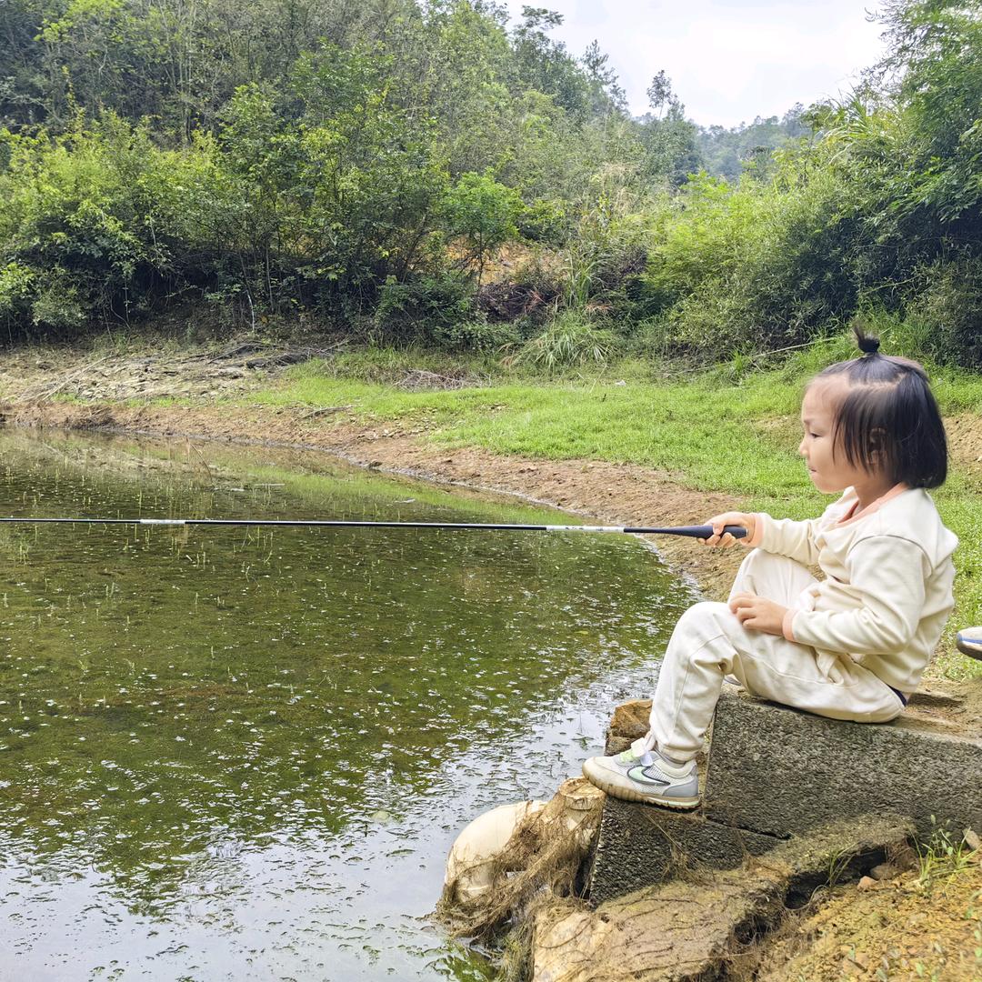 小杨羔