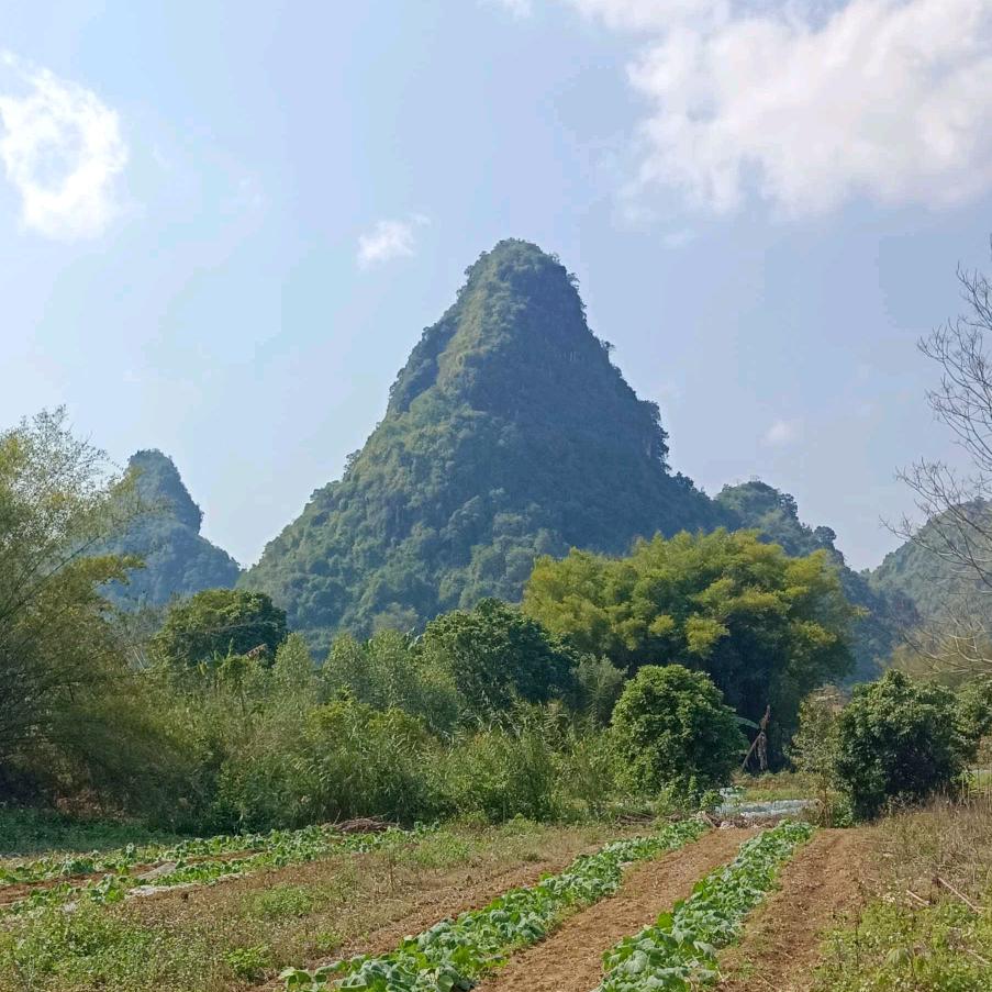 骑牛找马
