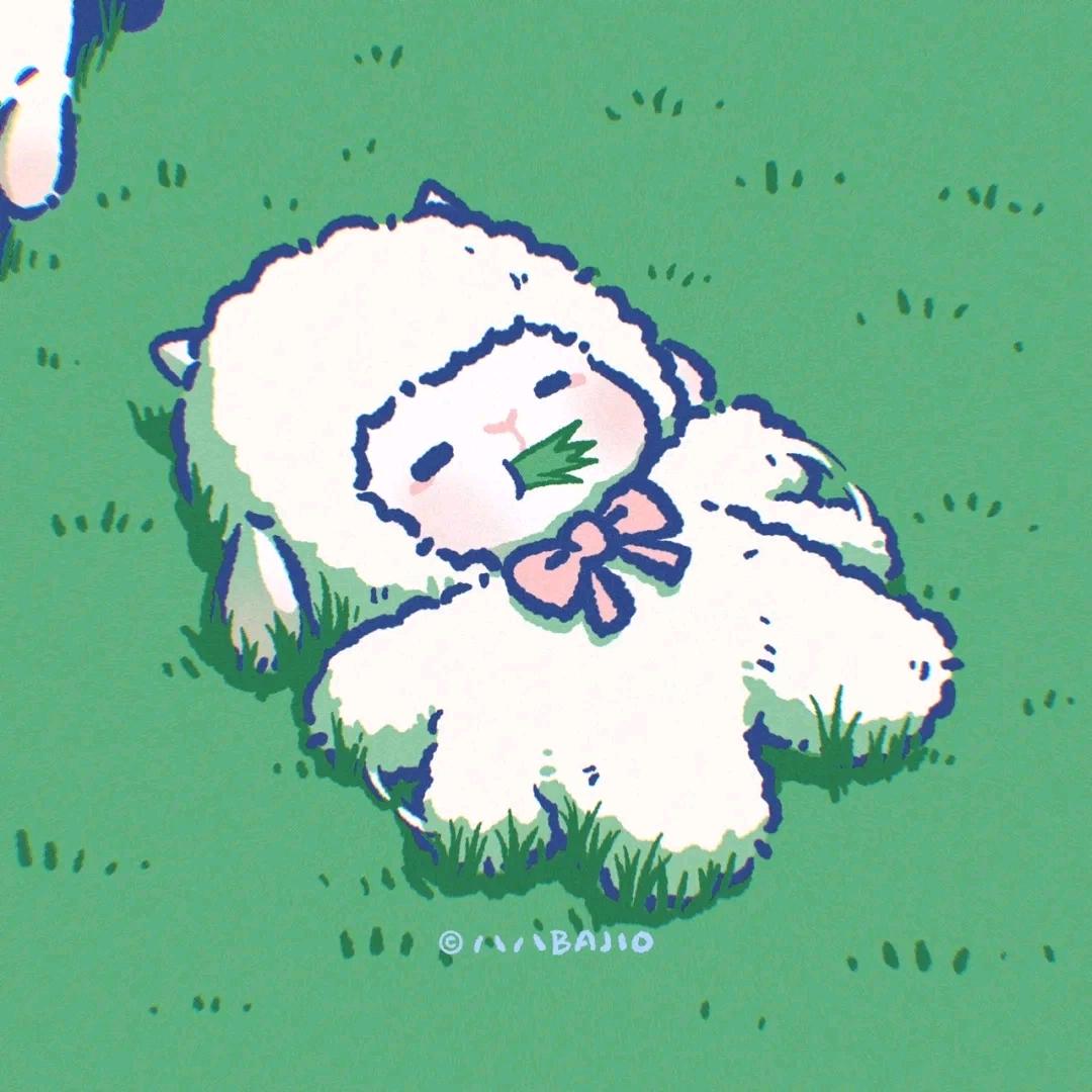 🐑🐑