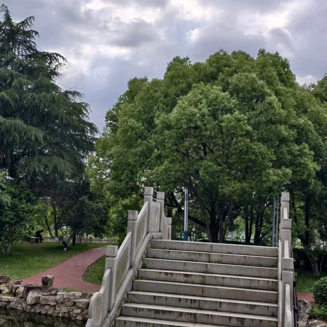 🌺ꦿ꯭꧔ꦿ᭄烈酒敬余生꧔ꦿএ᭄🌺