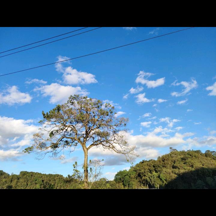 🍀小菊花🌻