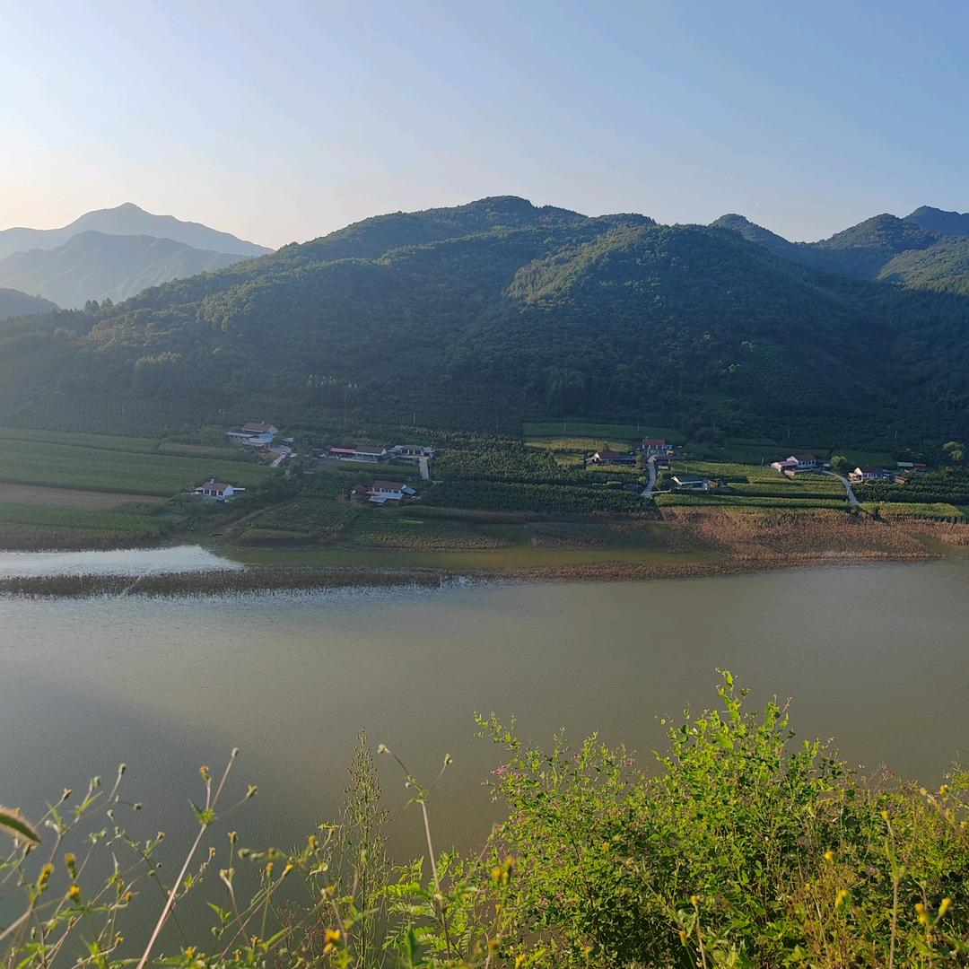 沈洋