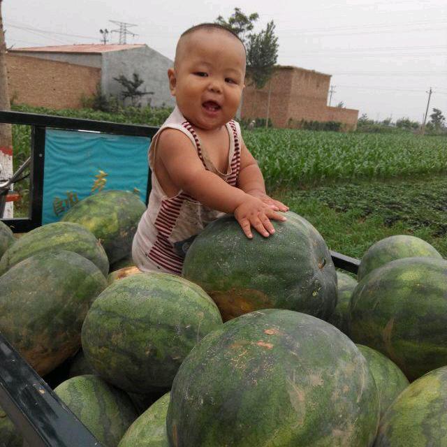 珍妮