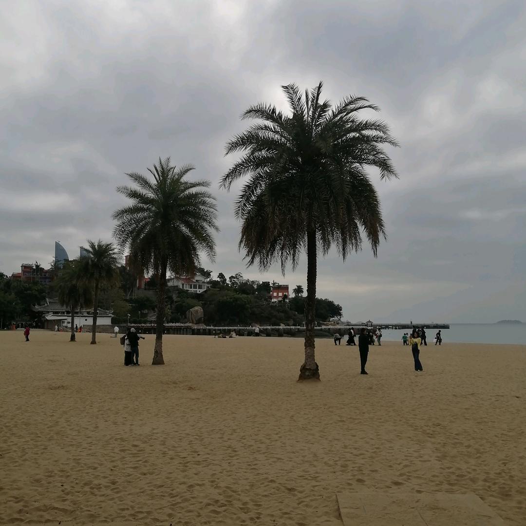 沧桑大叔🌴