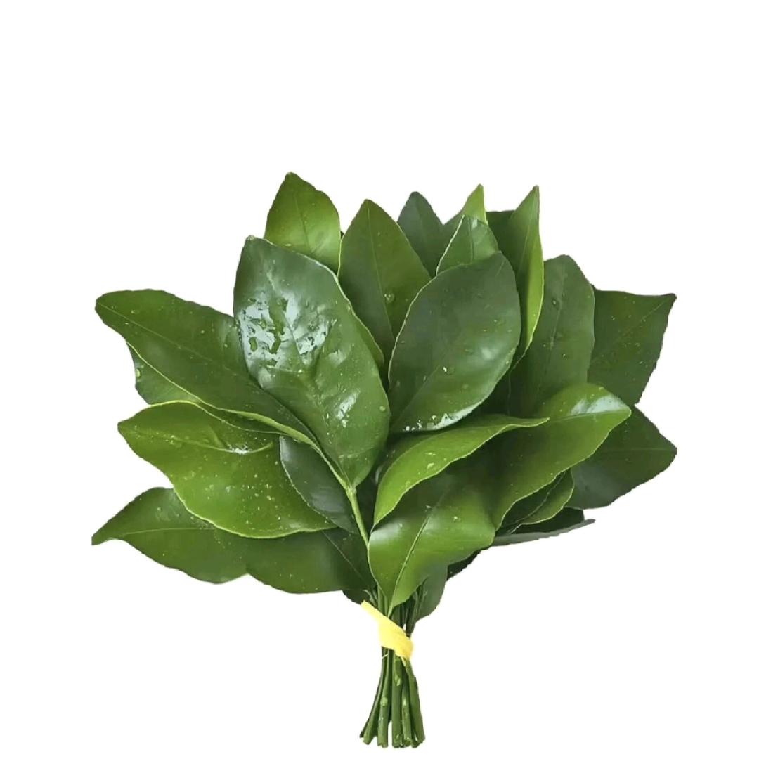 Mer