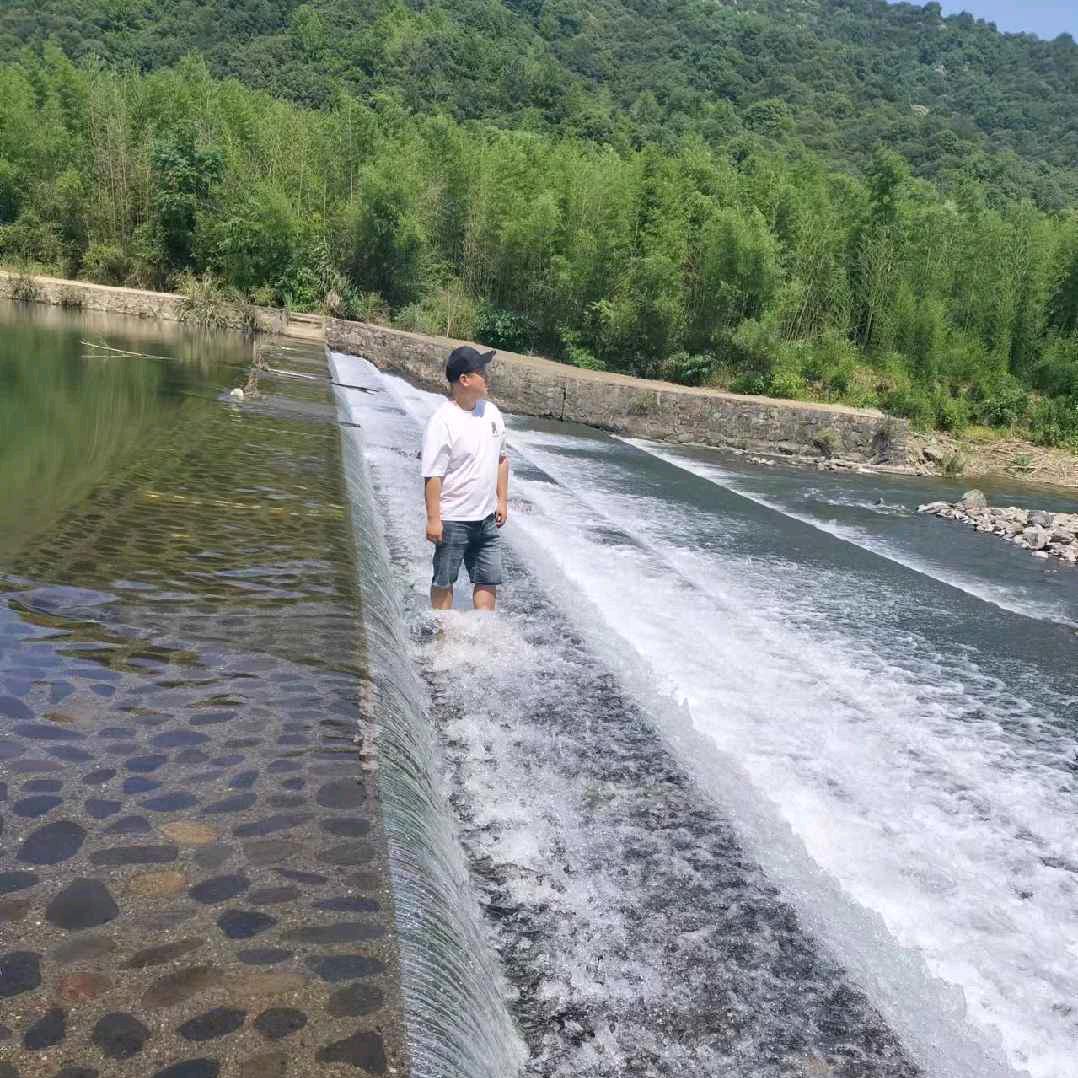 Mr阿飞