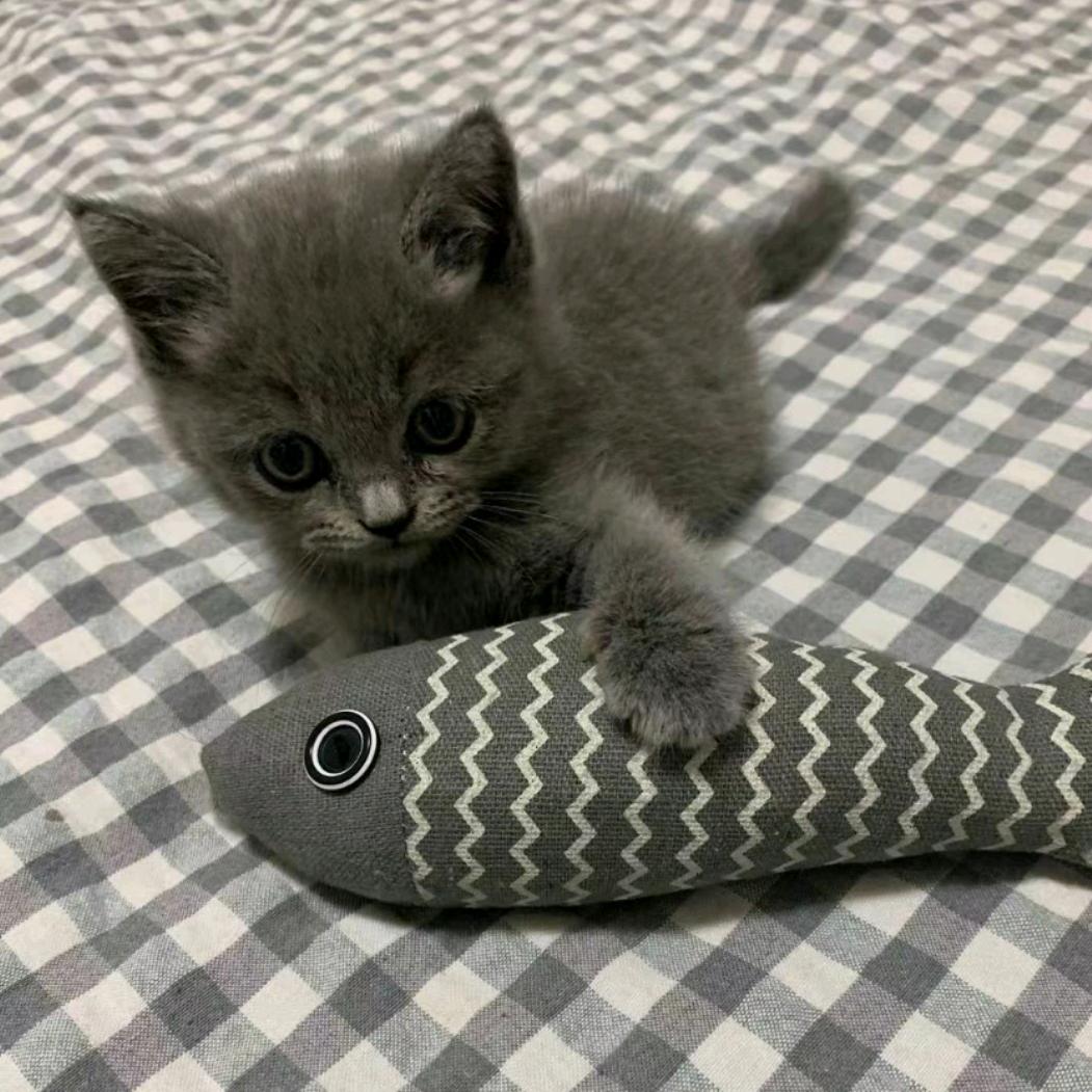 05后大叔腿毛会打结