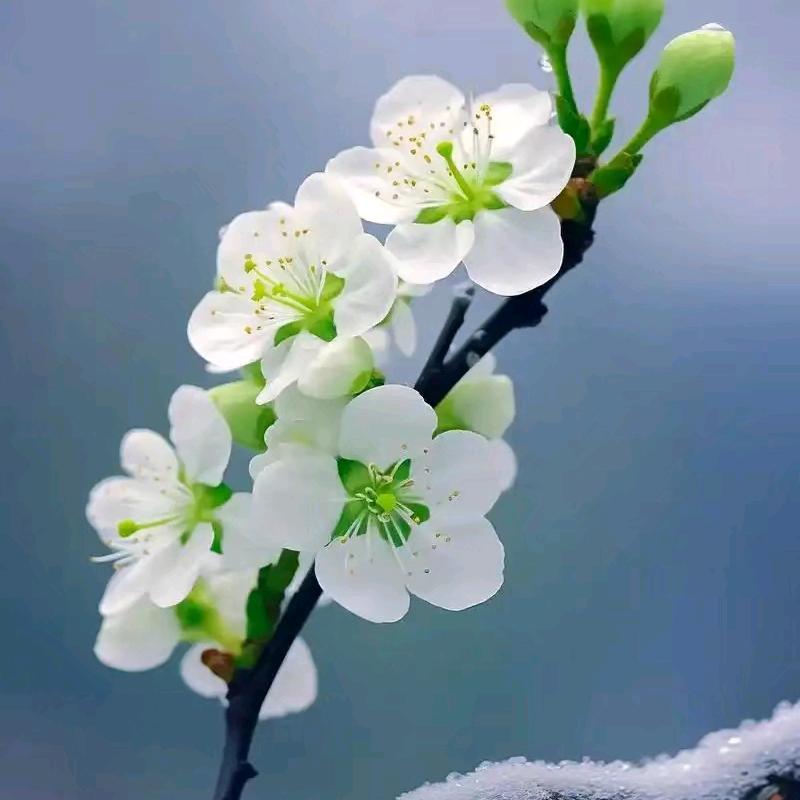 许洋妈妈
