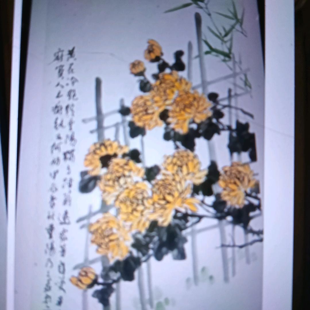哦嗐