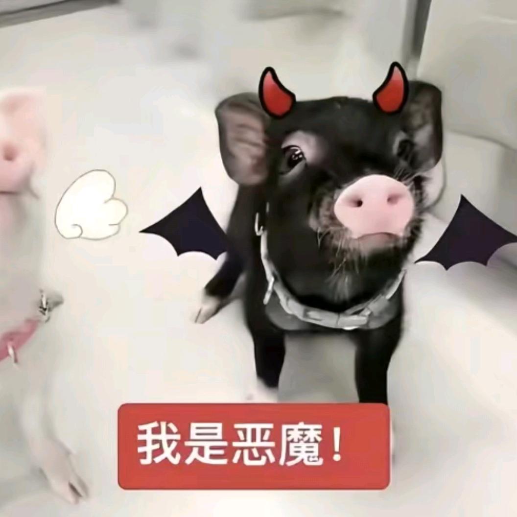 临期鹿