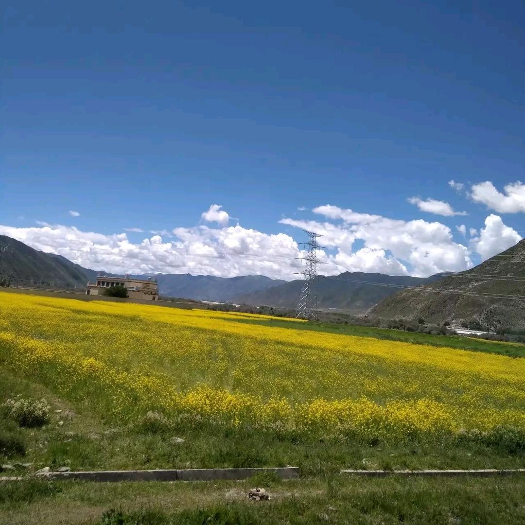 看破红尘不剃头