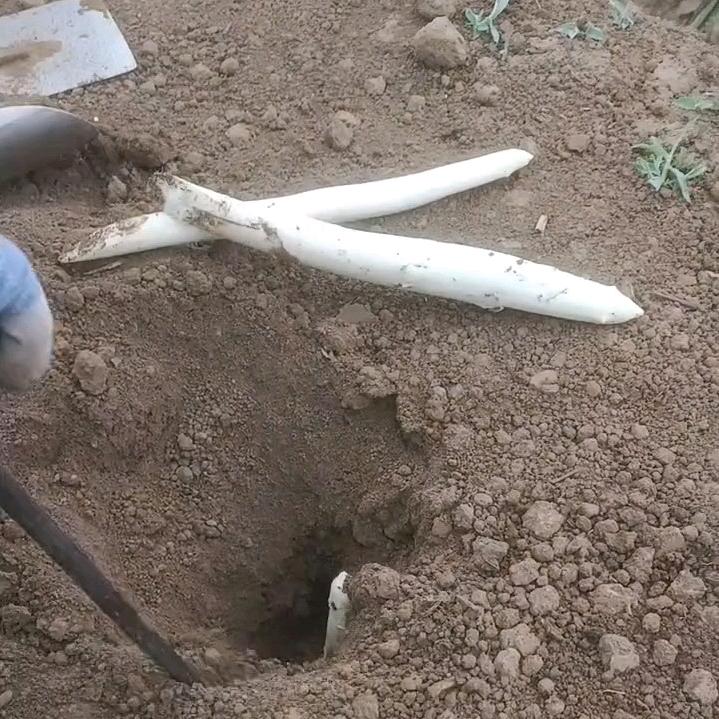 农家姑娘生态园