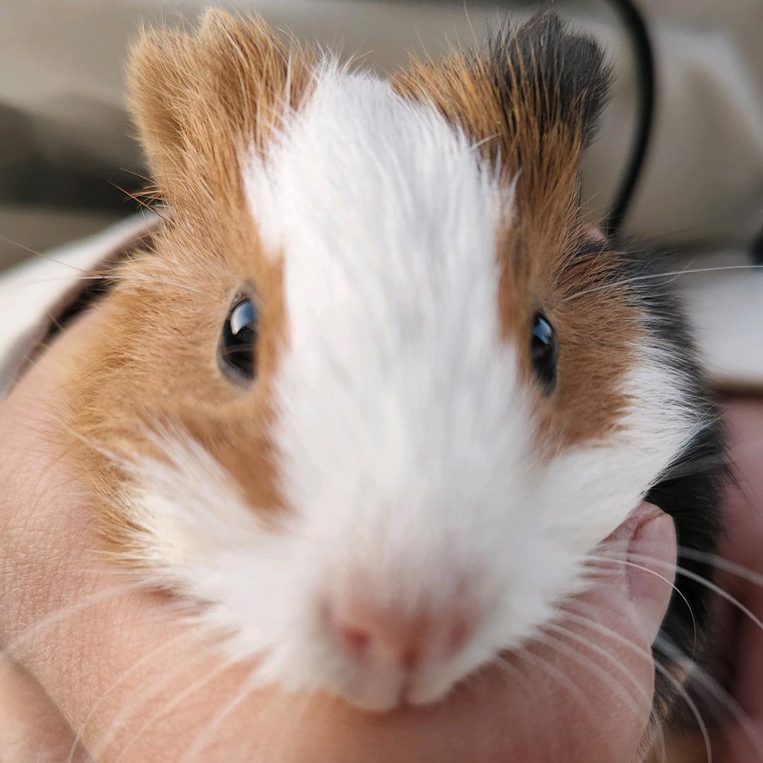 时尚生活小铺nKR