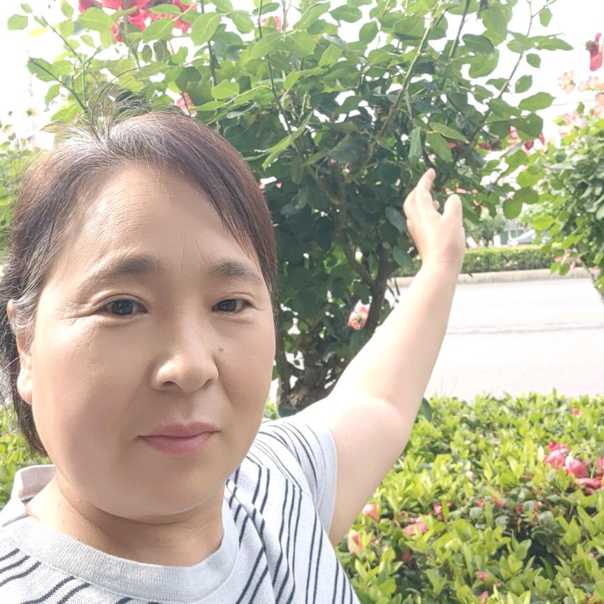 平平淡淡的我