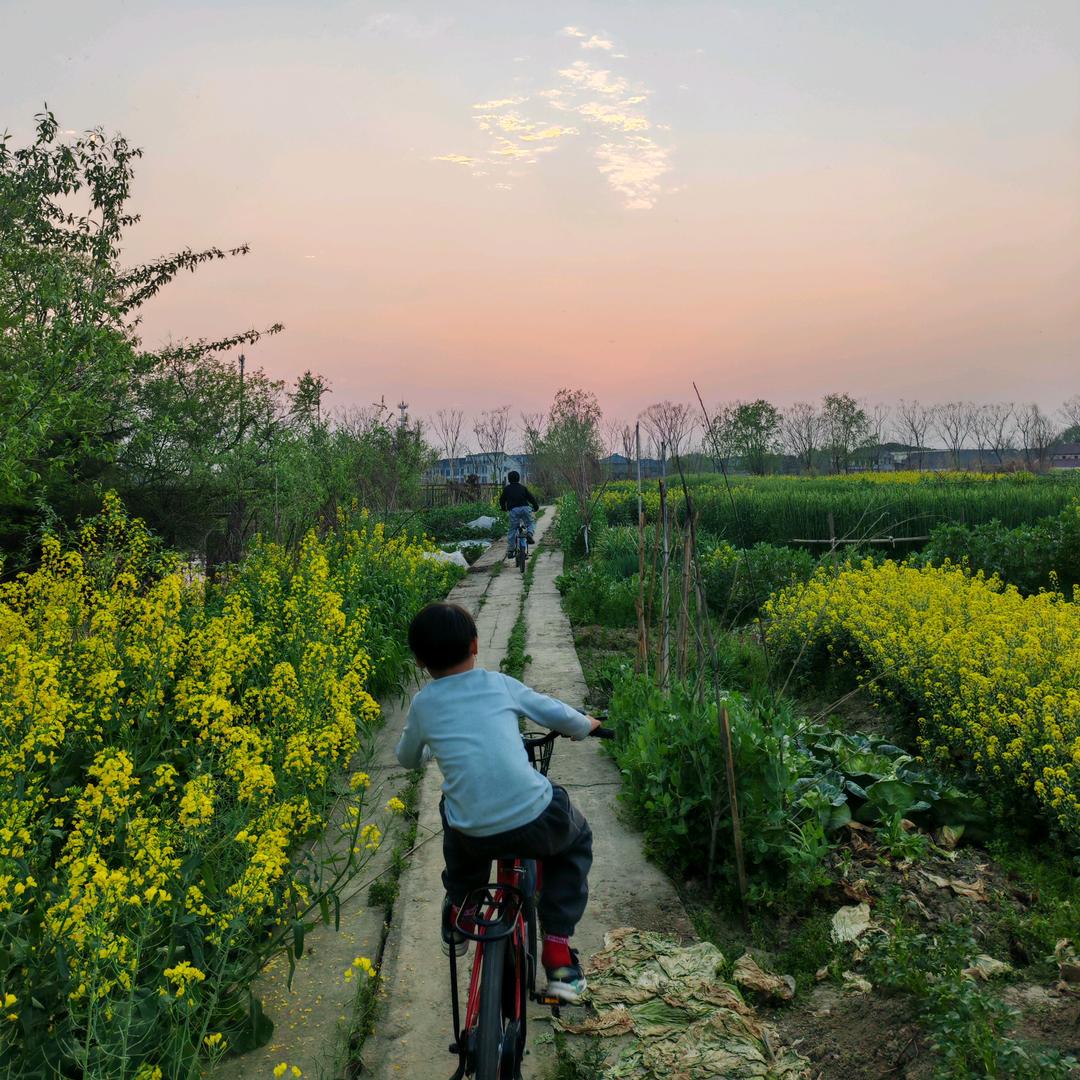 朗朗那个晴天呀