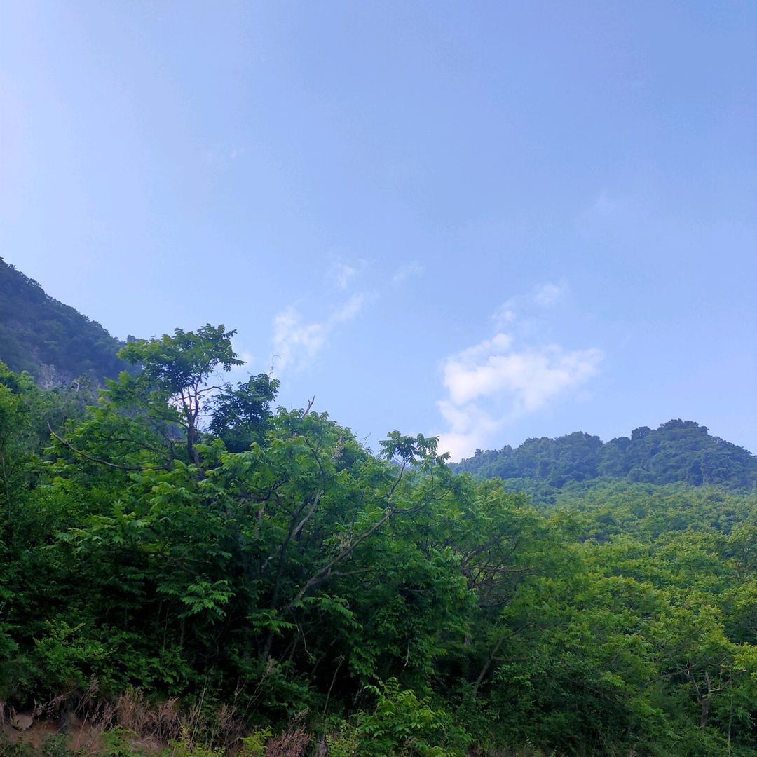 人间清醒
