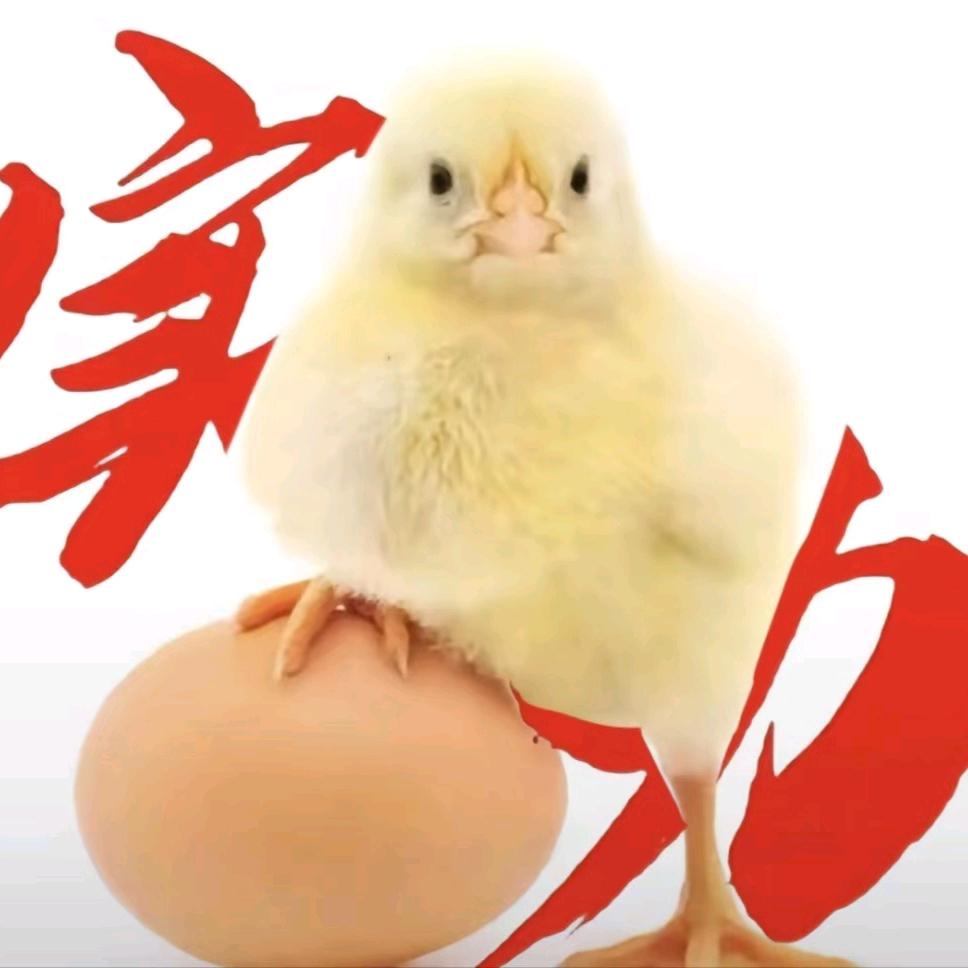 隋意