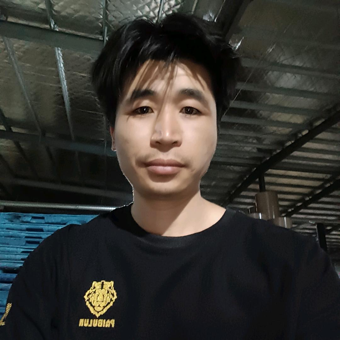 不要再来伤害我