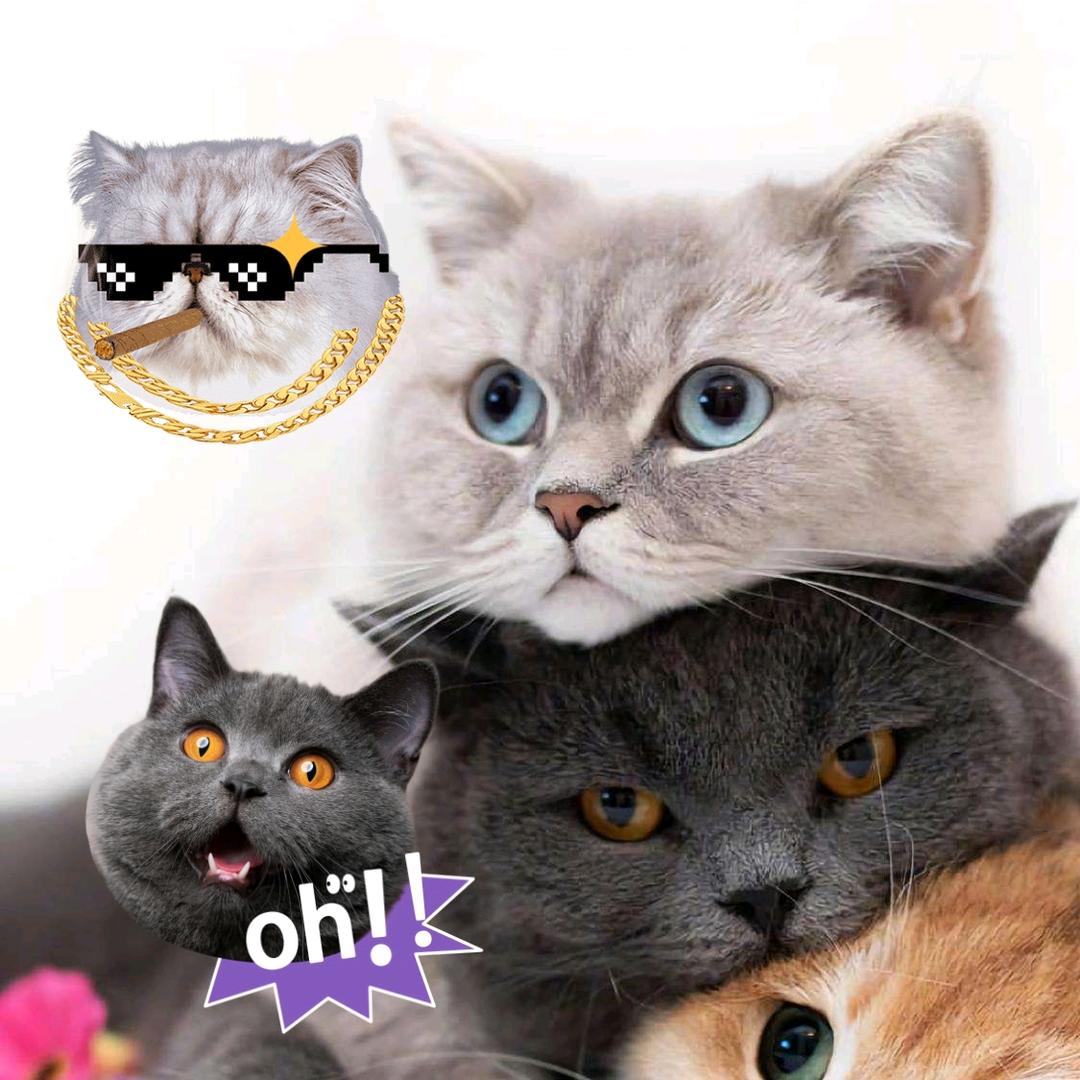 f.k