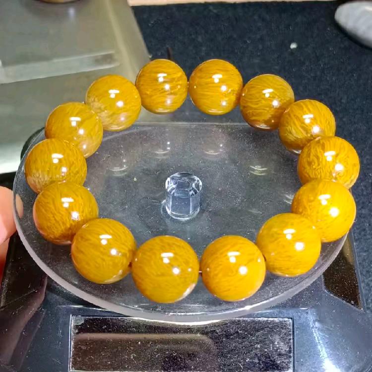 桫椤玉(行者)