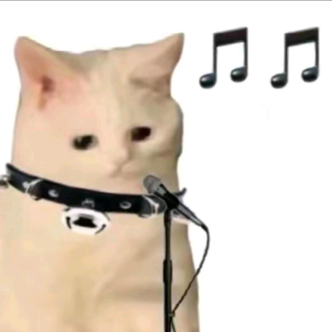 小喜小喜笑嘻嘻