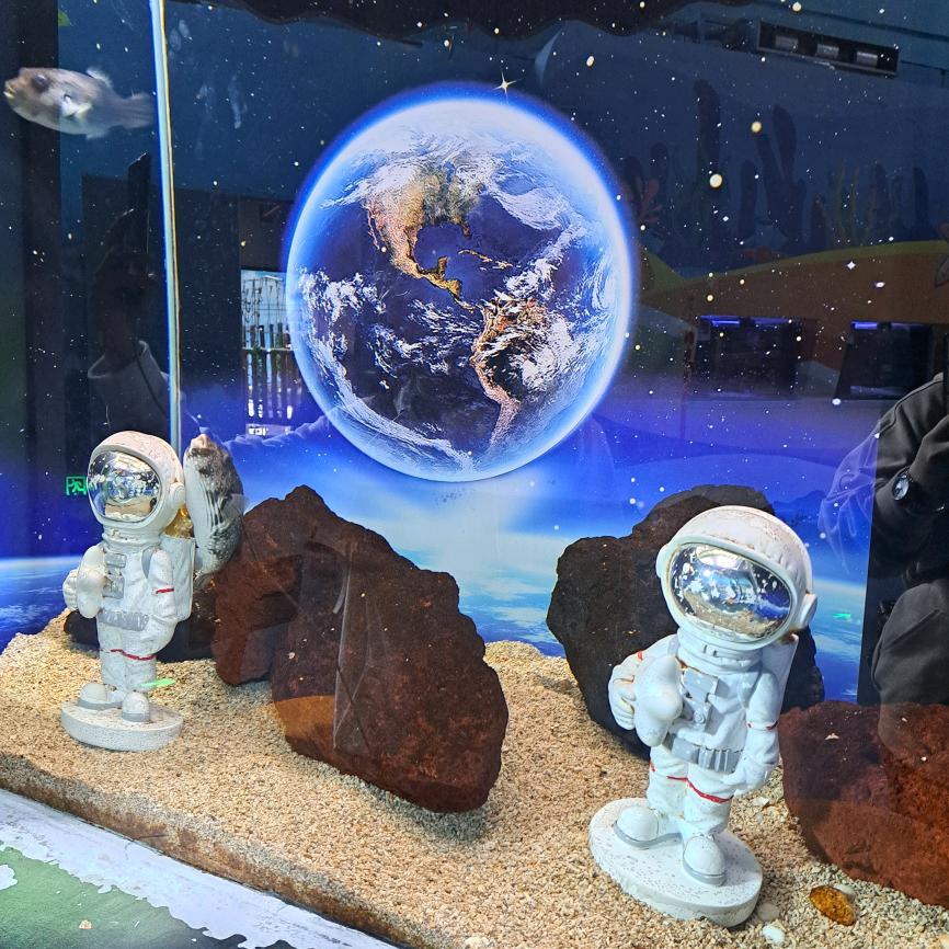 ໑ຼₒ₂ₒღ᭄🥀㝽筱孃💎꧔