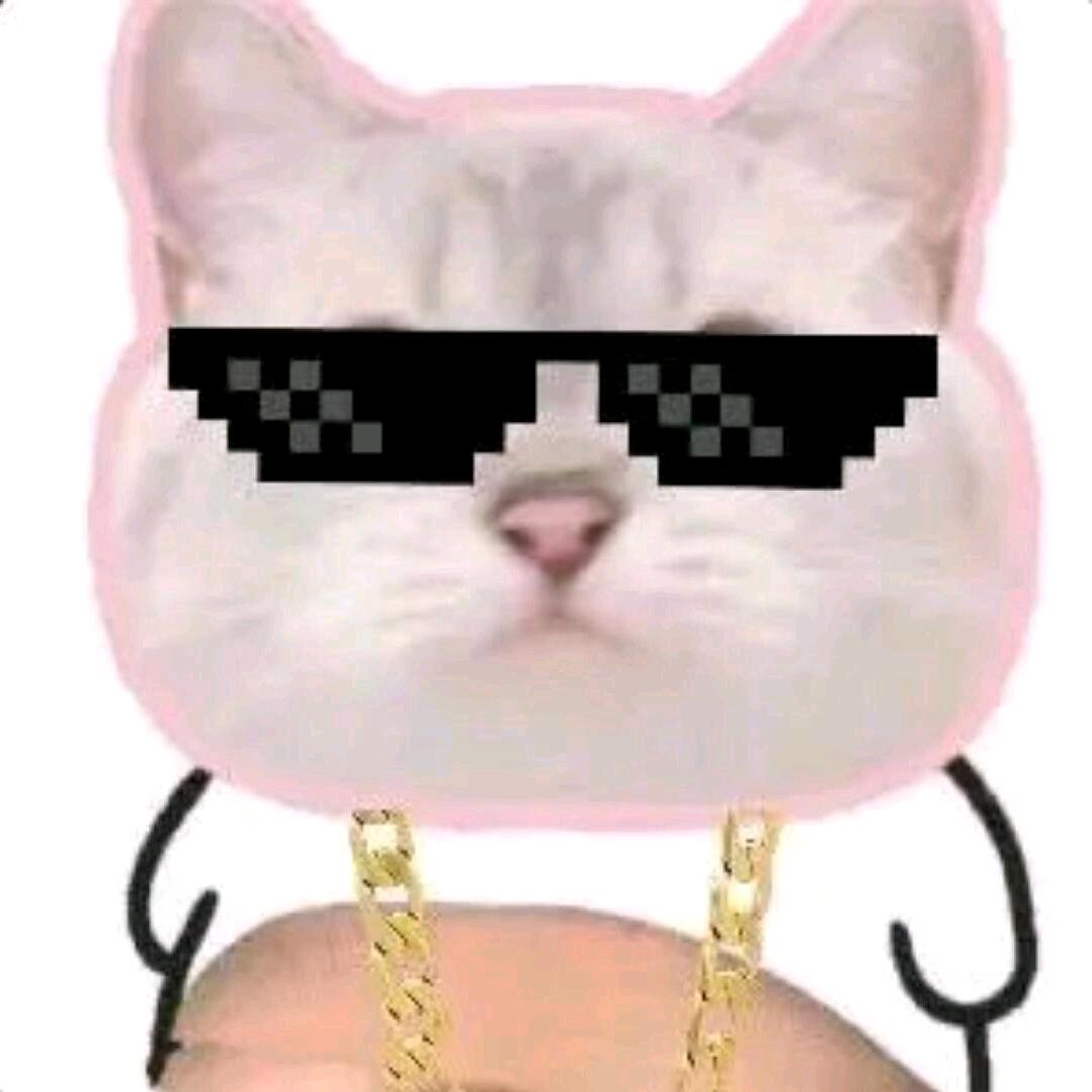 笨比（世一鸣）