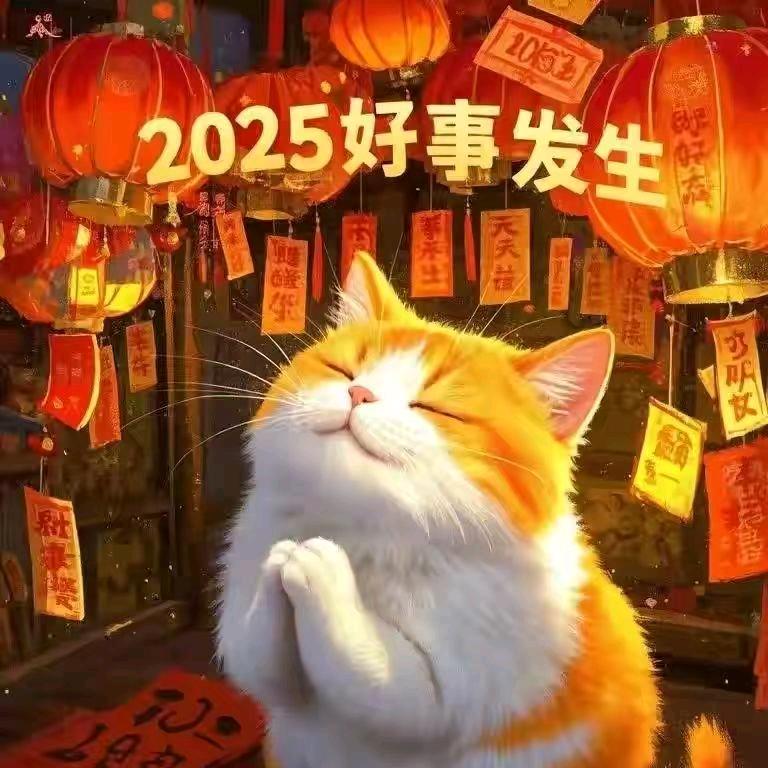 善丽