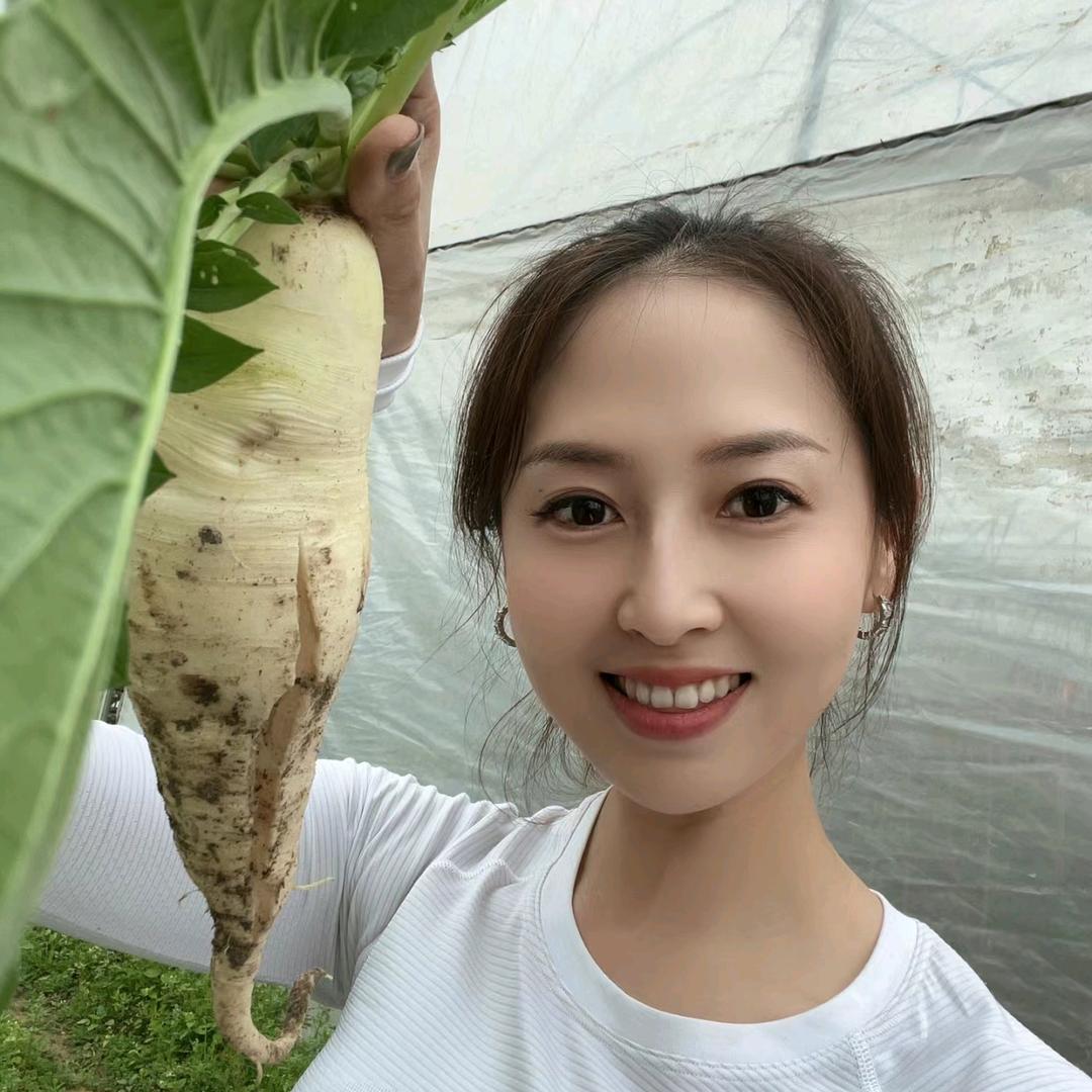 一方一净土
