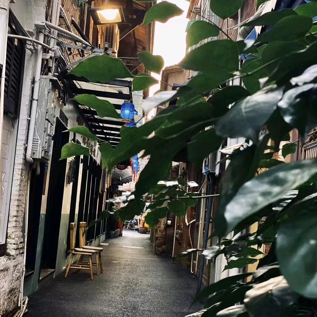 ～ღ᭄白凤梨🍍࿐