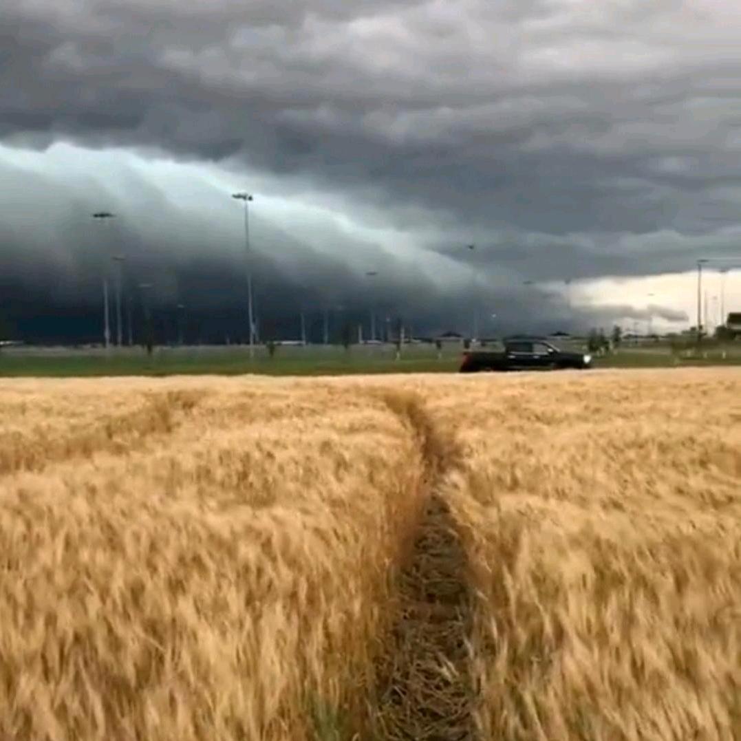 Bullish（啵啵）💕