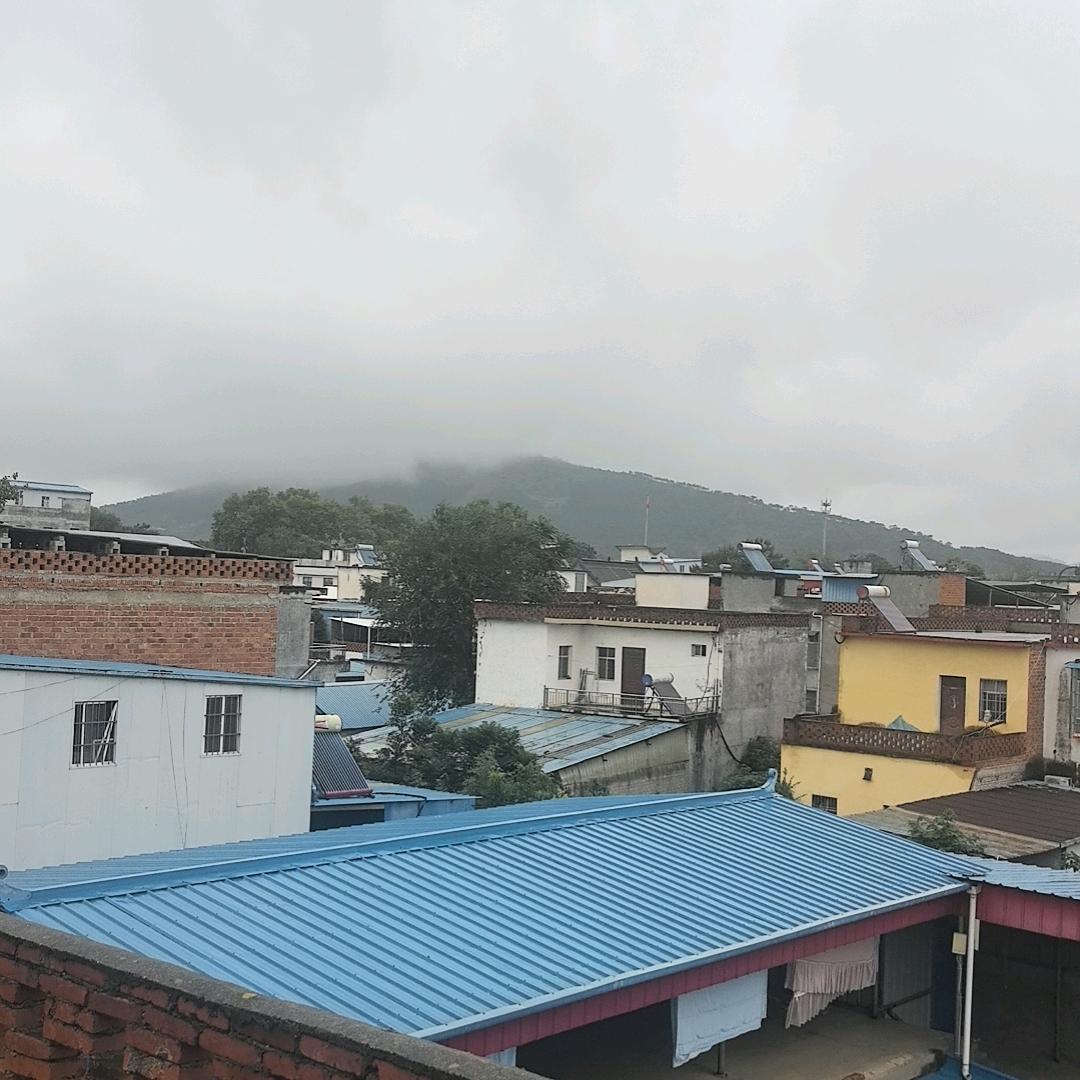 刘可