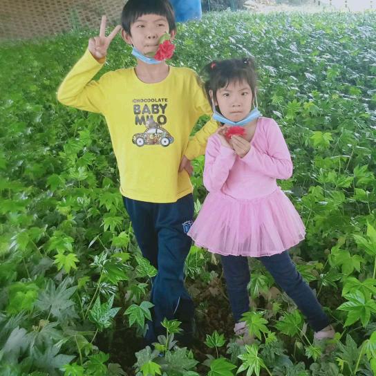 中国大陆，湖南常德，其南毅欣杰金罗，