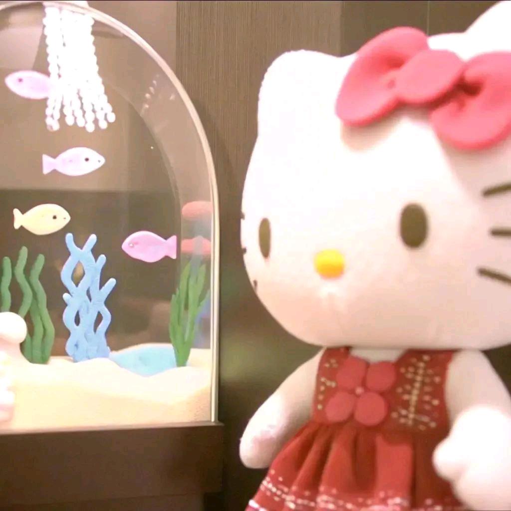 花信风💫